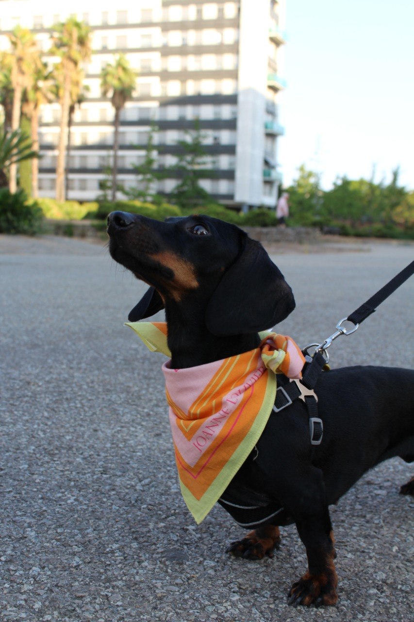 Bandana algodón Mandarina