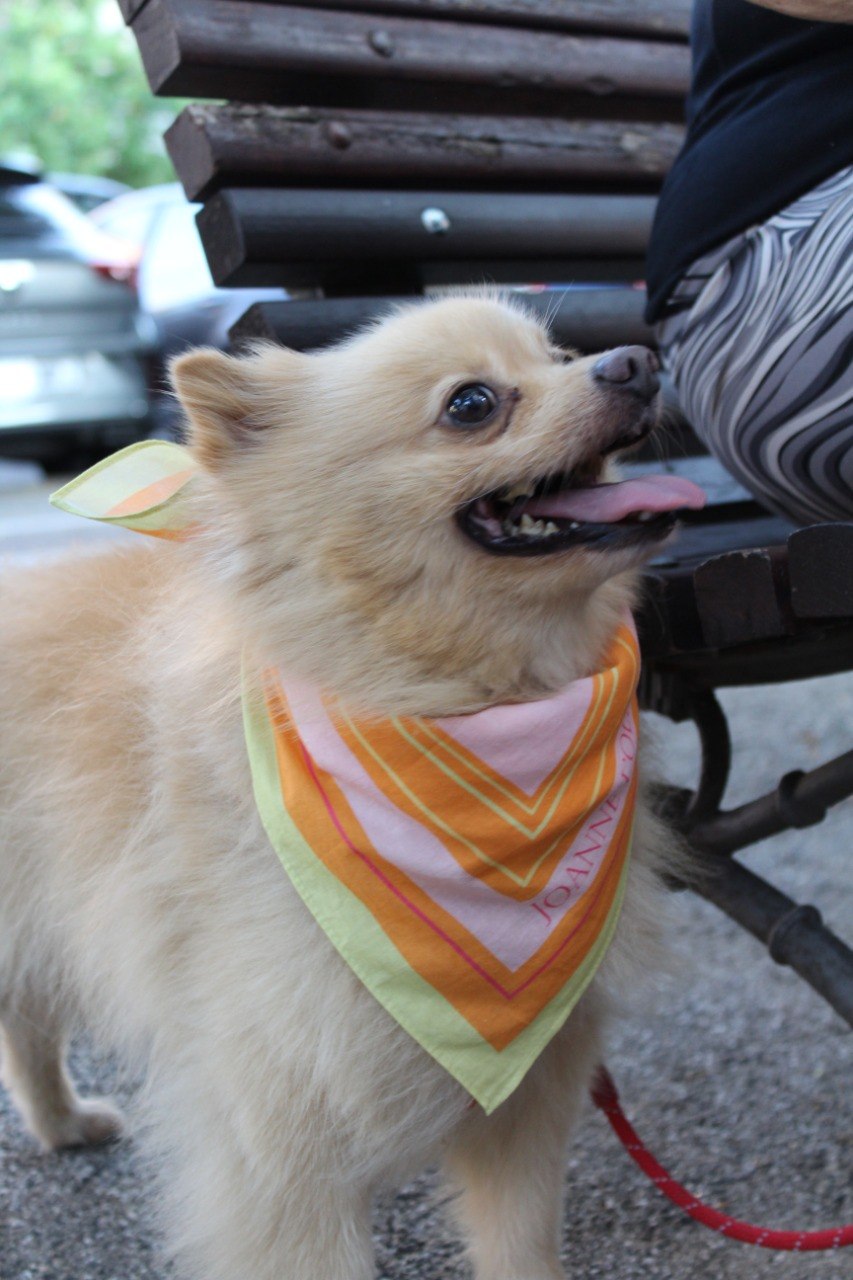 Bandana algodón Mandarina